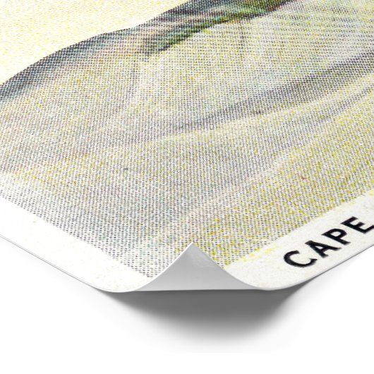 Uitzicht van de Dorothy Bradford Steamer Poster (Hoek)