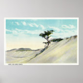 Uitzicht van de Dorothy Bradford Steamer Poster (Voorkant)