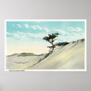 Uitzicht van de Dorothy Bradford Steamer Poster