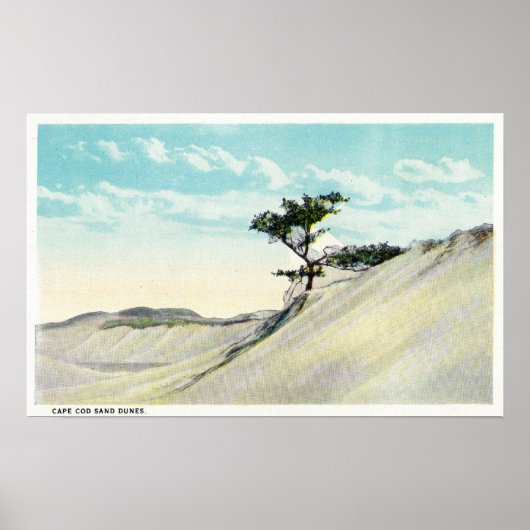 Uitzicht van de Dorothy Bradford Steamer Poster (Voorkant)