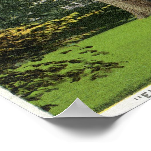 Uitzicht van de Elm Knoll, hier woonachtig Longmed Poster (Hoek)