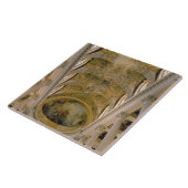 Uitzicht van de galerij van de Koning en afgewatte Tegeltje (Zijkant)