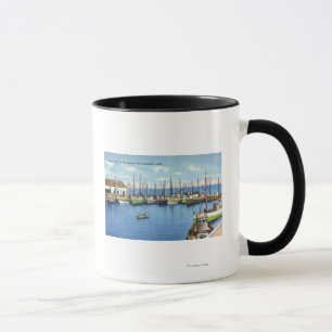 Uitzicht van de Geviste vloot in de haven Mok