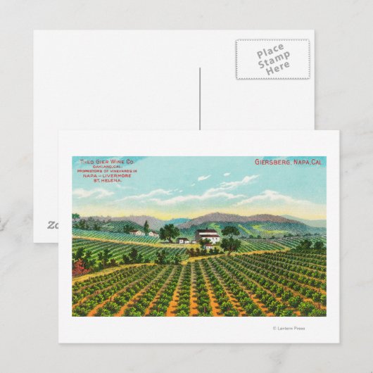 Uitzicht van de giersberg-wijngaard Napa, CA Briefkaart (Voorkant / Achterkant)