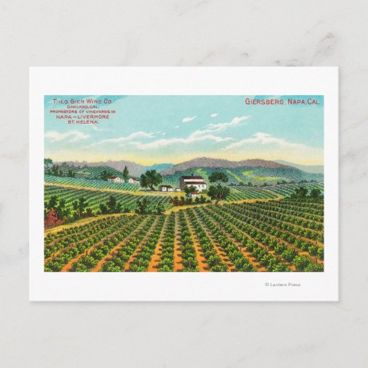 Uitzicht van de giersberg-wijngaard Napa, CA Briefkaart (Voorkant)