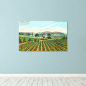 Uitzicht van de giersberg-wijngaard Napa, CA Canvas Afdruk (Insitu (Houten vloer))