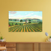 Uitzicht van de giersberg-wijngaard Napa, CA Canvas Afdruk (Insitu (Woonkamer))