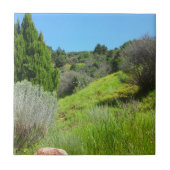 Uitzicht van de Groene Tegel Tegeltje (Voorkant)