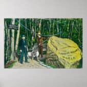 Uitzicht van de grootste goudhong ter wereld poster (Voorkant)