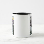 Uitzicht van de grot van de winden in de winter mok (Midden)