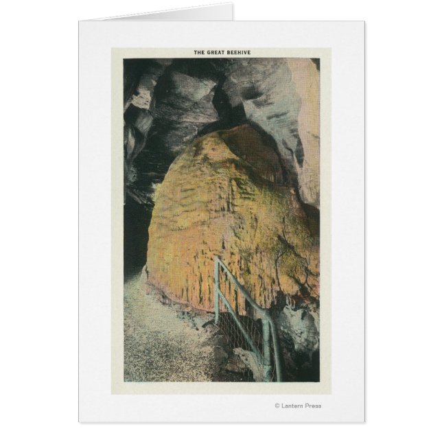 Uitzicht van de Grote Bijenkast (Voorkant)