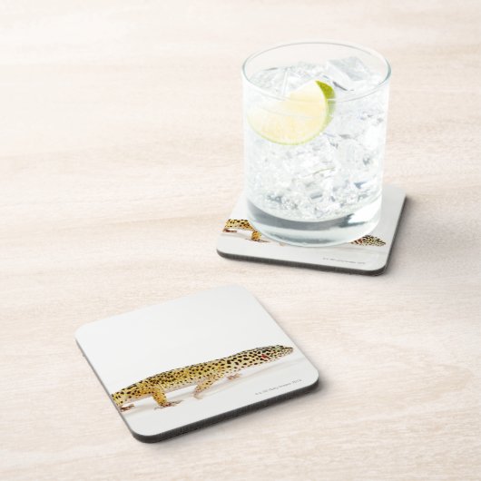 Uitzicht van de hagedis bier onderzetter (Rechterzijde)