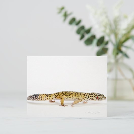 Uitzicht van de hagedis briefkaart (Staand voorkant)