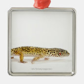 Uitzicht van de hagedis metalen ornament (Voorkant)