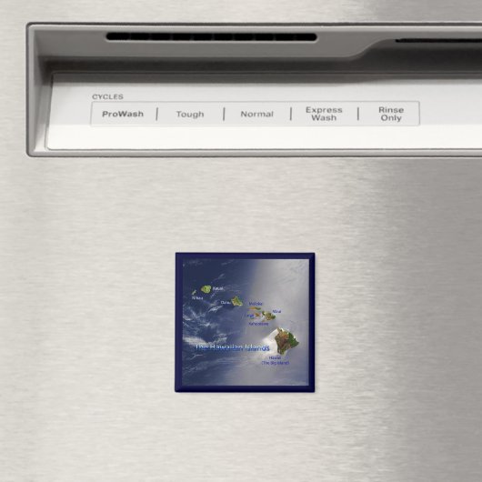 Uitzicht van de Hawaï Magneet (Insitu (Vaatwasser))