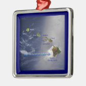 Uitzicht van de Hawaï Metalen Ornament (Links)