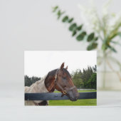 uitzicht van de hek briefkaart (Staand voorkant)