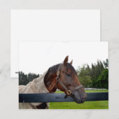 uitzicht van de hek briefkaart (Voorkant / Achterkant)