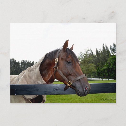 uitzicht van de hek briefkaart (Voorkant)