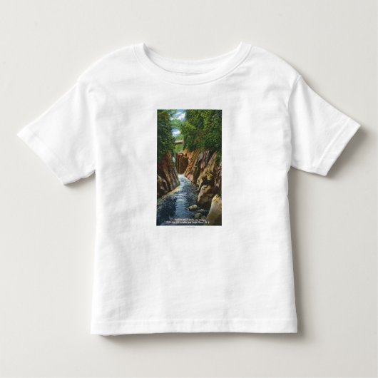 Uitzicht van de Herfsten en de brug van Abruikbaar Kinder Shirts (Voorkant)