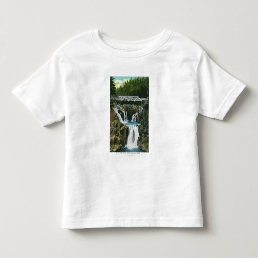 Uitzicht van de Herfsten van Split Rock en Bridge Kinder Shirts (Voorkant)