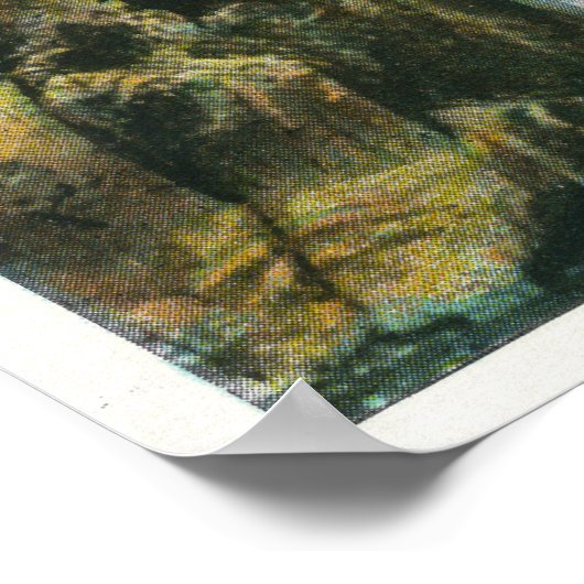 Uitzicht van de Herfsten van Split Rock en Bridge Poster (Hoek)