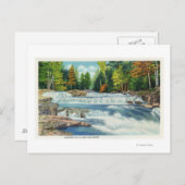 Uitzicht van de Herfsten Wilde Cat en Jackson Briefkaart (Voorkant / Achterkant)