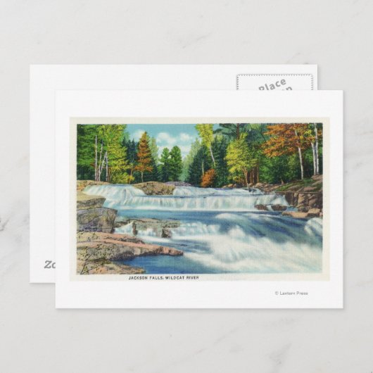 Uitzicht van de Herfsten Wilde Cat en Jackson Briefkaart (Voorkant / Achterkant)