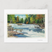 Uitzicht van de Herfsten Wilde Cat en Jackson Briefkaart (Voorkant)