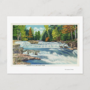 Uitzicht van de Herfsten Wilde Cat en Jackson Briefkaart