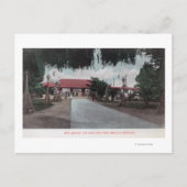 Uitzicht van de hoofdgateway naar Idora ParkOaklan Briefkaart (Voorkant)