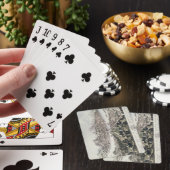 Uitzicht van de hoofdstad en de vesting van Salzbu Pokerkaarten (Insitu)
