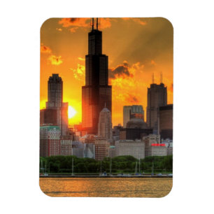 Uitzicht van de horizon van Chicago van Adler Magneet