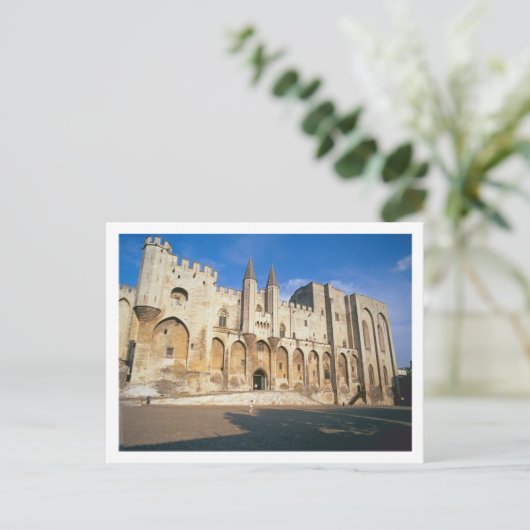 Uitzicht van de ingangsfaat van het paleis (foto) briefkaart (Staand voorkant)