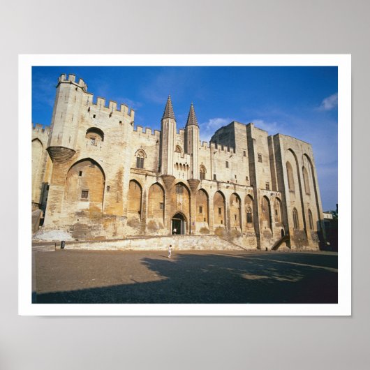 Uitzicht van de ingangsfaat van het paleis (foto) poster (Voorkant)