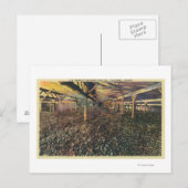 Uitzicht van de JR Simplot Dehydrating Co. Briefkaart (Voorkant / Achterkant)