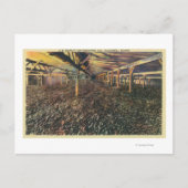 Uitzicht van de JR Simplot Dehydrating Co. Briefkaart (Voorkant)