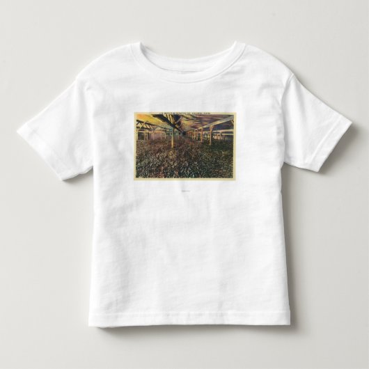 Uitzicht van de JR Simplot Dehydrating Co. Kinder Shirts (Voorkant)