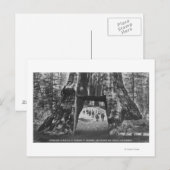 Uitzicht van de kajuit van Pioneers, Mannen op de  Briefkaart (Voorkant / Achterkant)