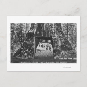 Uitzicht van de kajuit van Pioneers, Mannen op de  Briefkaart