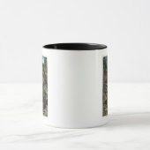 Uitzicht van de kamer van beroep van Plato Mok (Midden)