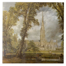 Uitzicht van de kathedraal van Salisbury (door Joh Tegeltje