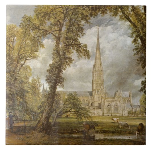 Uitzicht van de kathedraal van Salisbury (door Joh Tegeltje (Voorkant)