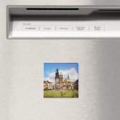 Uitzicht van de kathedraal van Wawel Magneet (Insitu (Vaatwasser))