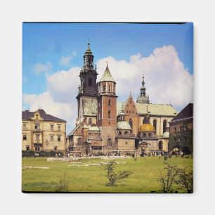 Uitzicht van de kathedraal van Wawel Magneet