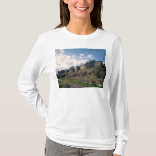 Uitzicht van de kennisgevingen, 1226-42 t-shirt (Voorkant)