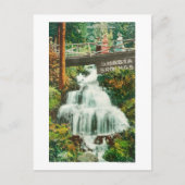 Uitzicht van de Lower FallsShasta Springs, CA Briefkaart (Voorkant)