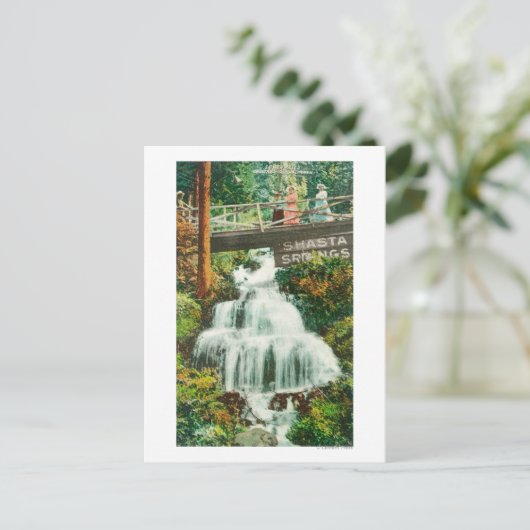 Uitzicht van de Lower FallsShasta Springs, CA Briefkaart (Staand voorkant)