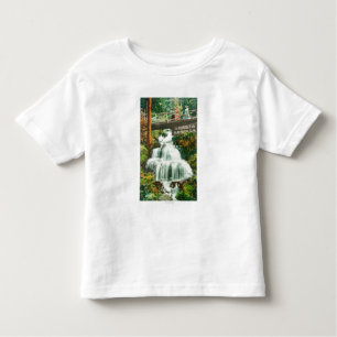 Uitzicht van de Lower FallsShasta Springs, CA Kinder Shirts