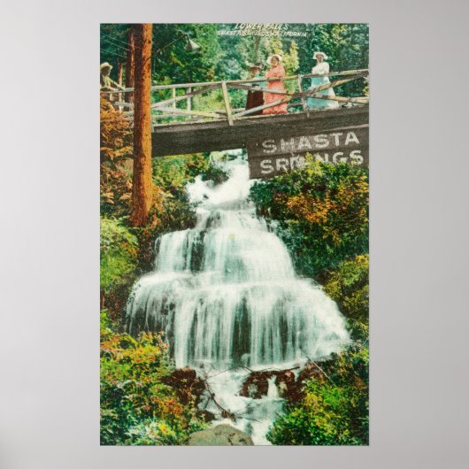 Uitzicht van de Lower FallsShasta Springs, CA Poster (Voorkant)